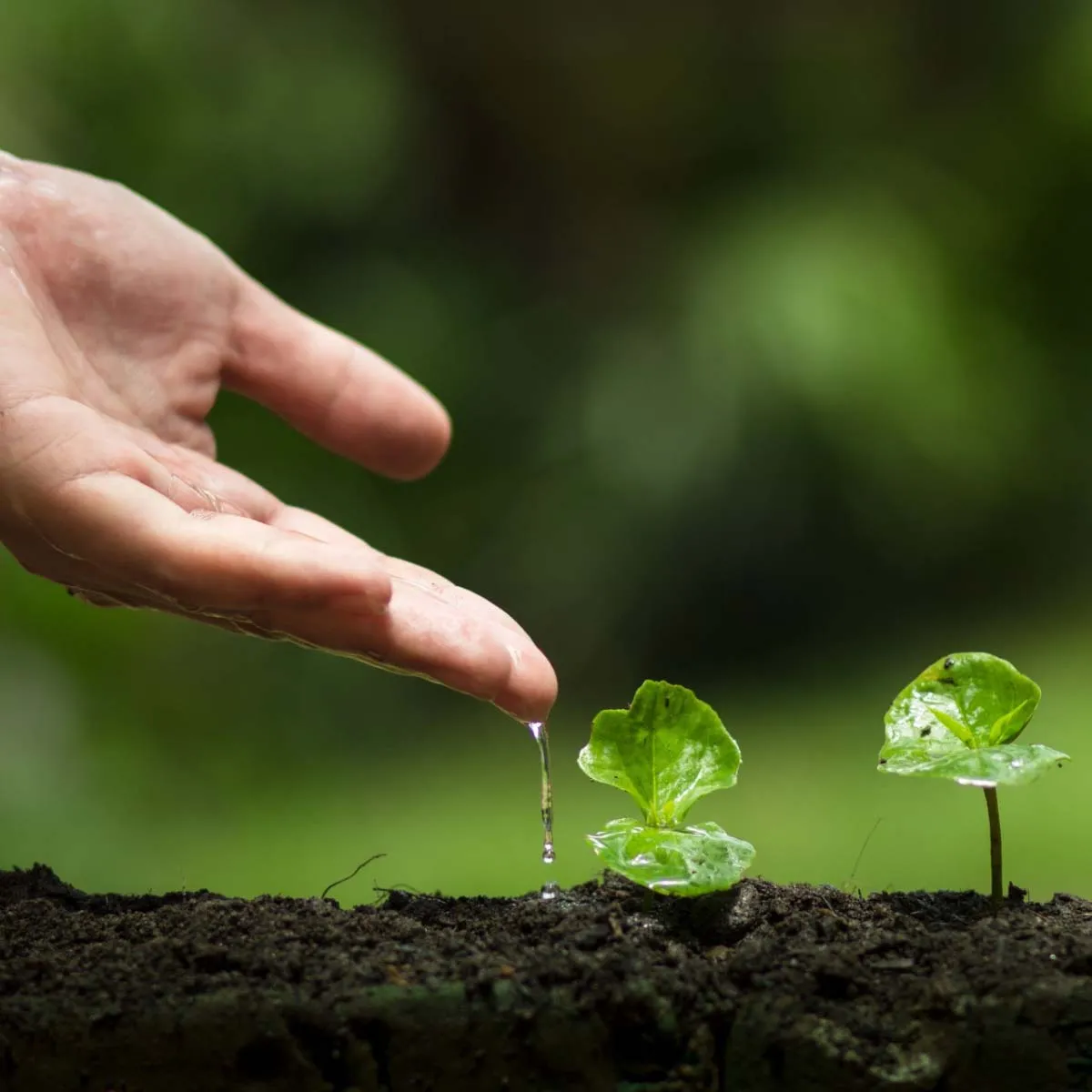 Environmental Management System
